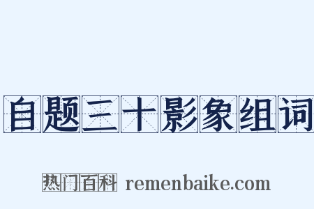 自题三十影象组词是什么意思的图片